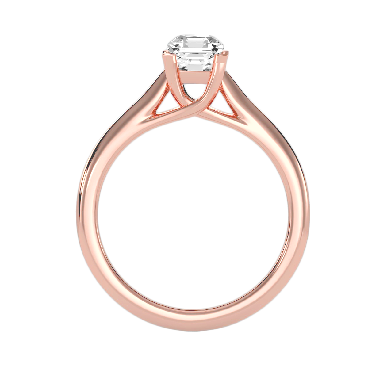 LH-243 — digital ring design render, view 1
