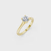 LH-731 — digital ring design video 3