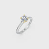 LH-731 — digital ring design video 1