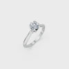 LH-736 — digital ring design video 3