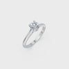 LH-731 — digital ring design video 2